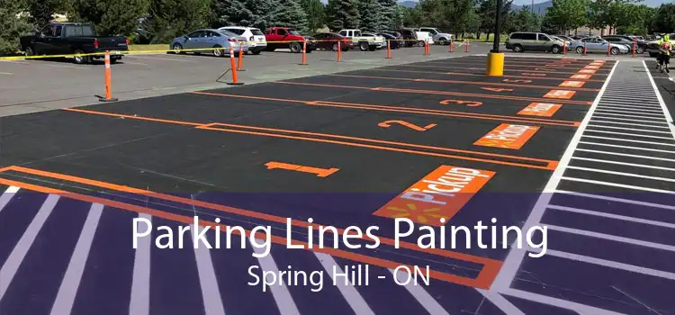 Parking Lines Painting Spring Hill - ON