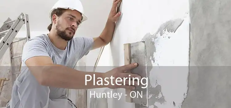 Plastering Huntley - ON