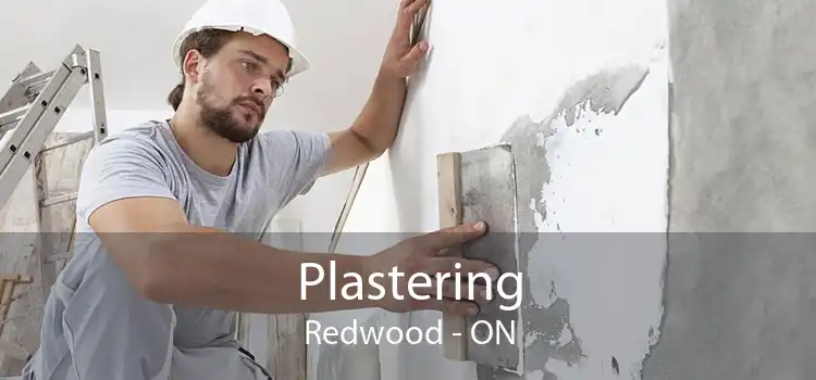 Plastering Redwood - ON
