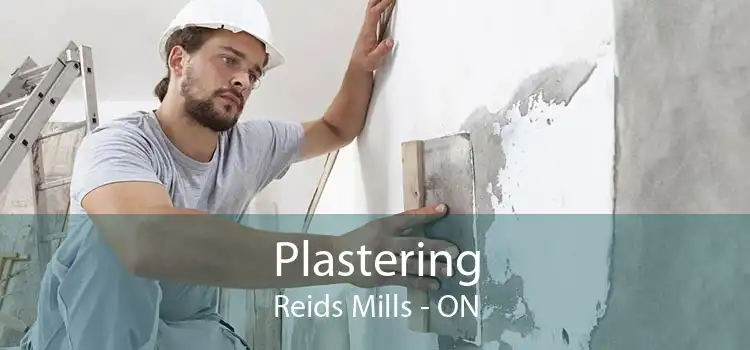 Plastering Reids Mills - ON