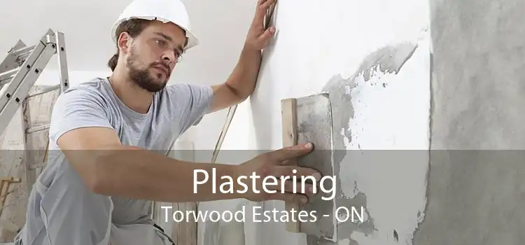 Plastering Torwood Estates - ON