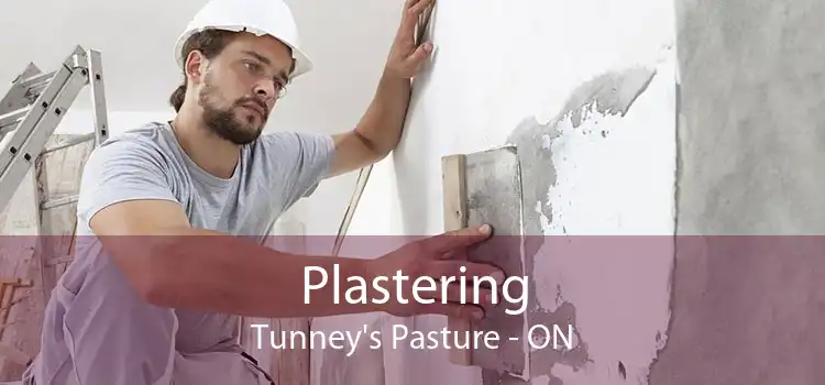 Plastering Tunney's Pasture - ON