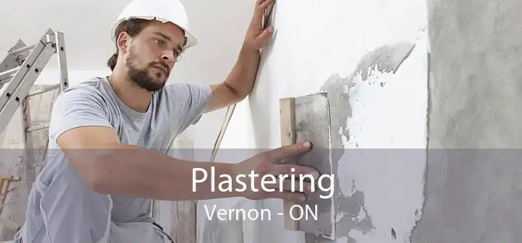 Plastering Vernon - ON