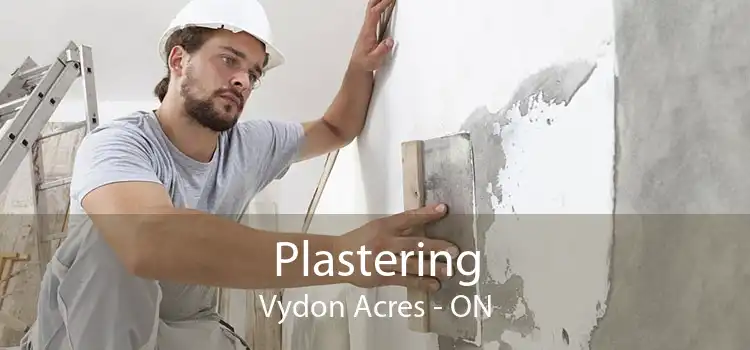 Plastering Vydon Acres - ON