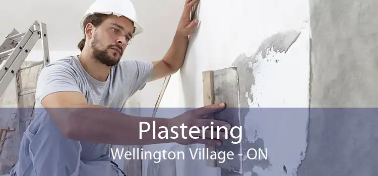 Plastering Wellington Village - ON
