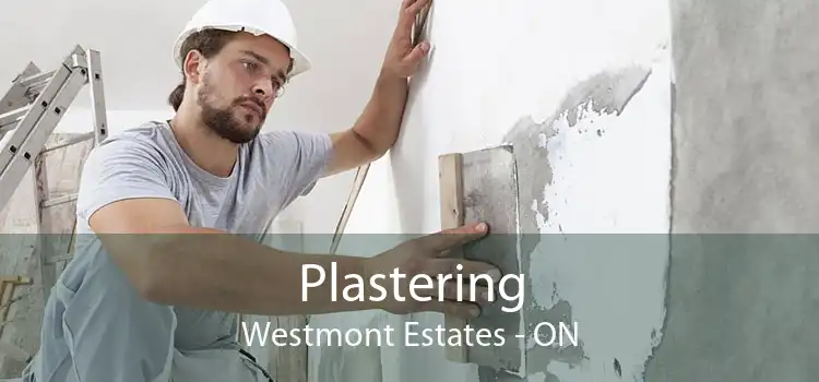 Plastering Westmont Estates - ON