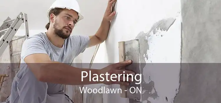 Plastering Woodlawn - ON