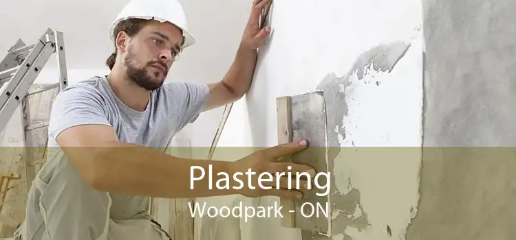 Plastering Woodpark - ON