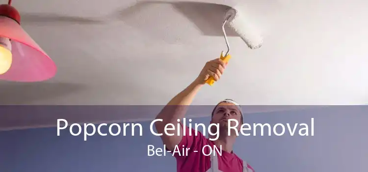 Popcorn Ceiling Removal Bel-Air - ON