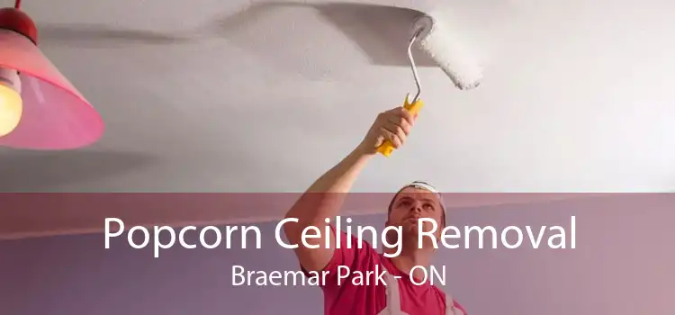 Popcorn Ceiling Removal Braemar Park - ON
