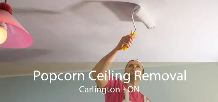 Popcorn Ceiling Removal Carlington - ON