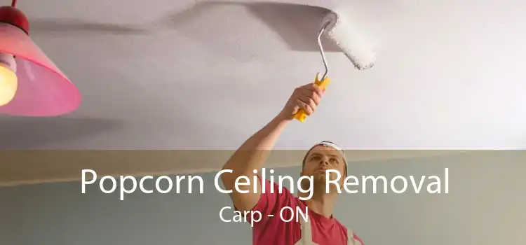 Popcorn Ceiling Removal Carp - ON