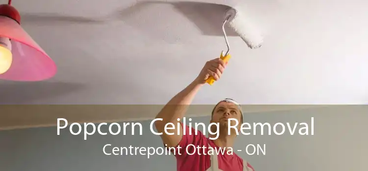 Popcorn Ceiling Removal Centrepoint Ottawa - ON