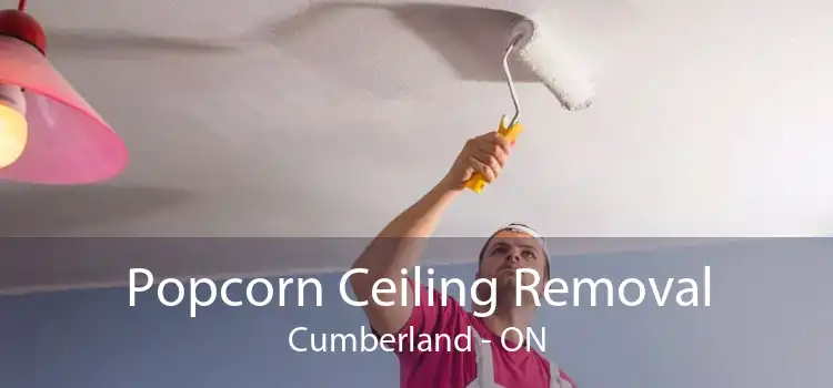 Popcorn Ceiling Removal Cumberland - ON