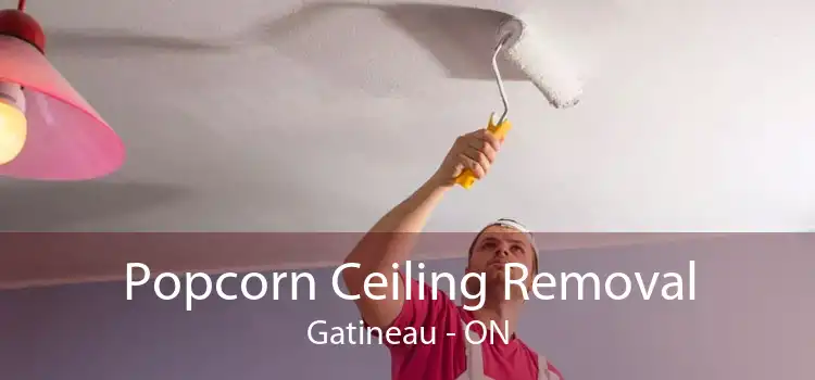 Popcorn Ceiling Removal Gatineau - ON