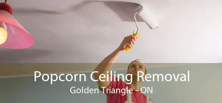 Popcorn Ceiling Removal Golden Triangle - ON