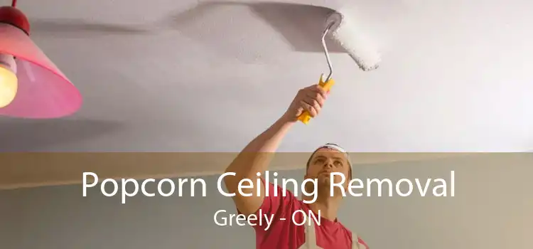 Popcorn Ceiling Removal Greely - ON