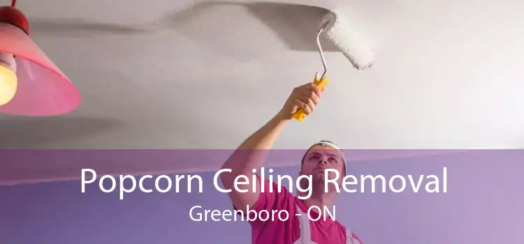 Popcorn Ceiling Removal Greenboro - ON