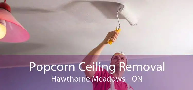 Popcorn Ceiling Removal Hawthorne Meadows - ON