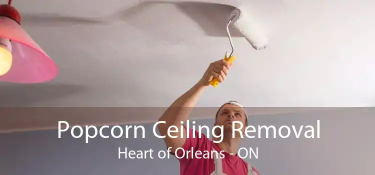 Popcorn Ceiling Removal Heart of Orleans - ON