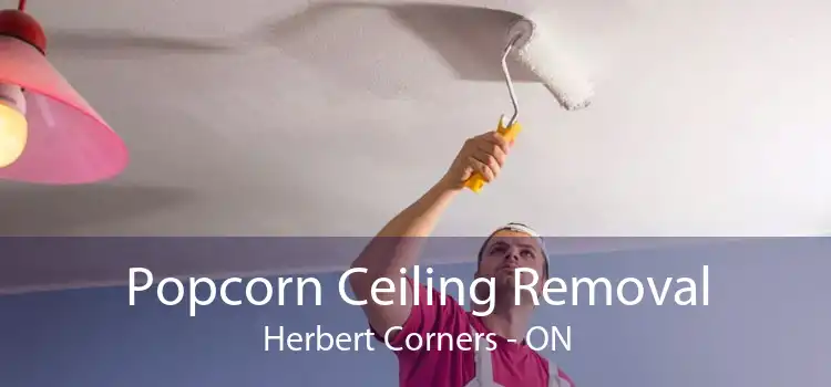 Popcorn Ceiling Removal Herbert Corners - ON