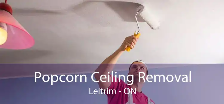 Popcorn Ceiling Removal Leitrim - ON