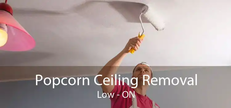 Popcorn Ceiling Removal Low - ON