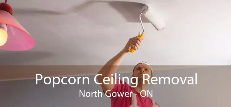 Popcorn Ceiling Removal North Gower - ON