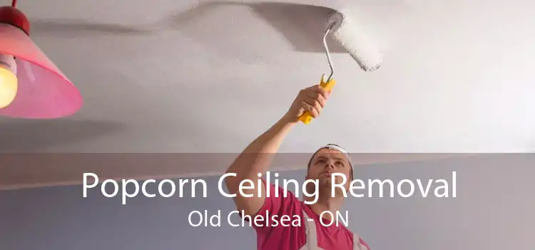 Popcorn Ceiling Removal Old Chelsea - ON