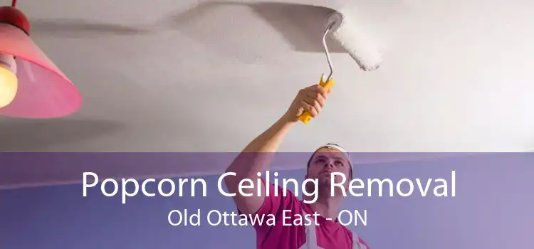 Popcorn Ceiling Removal Old Ottawa East - ON