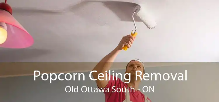 Popcorn Ceiling Removal Old Ottawa South - ON