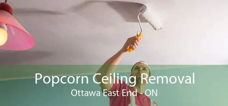 Popcorn Ceiling Removal Ottawa East End - ON