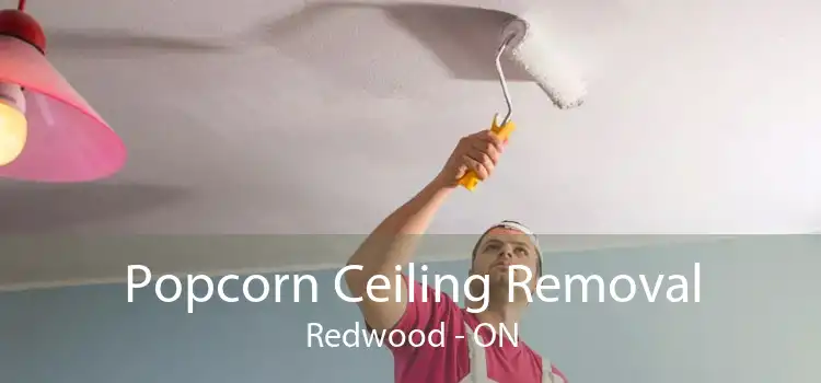 Popcorn Ceiling Removal Redwood - ON