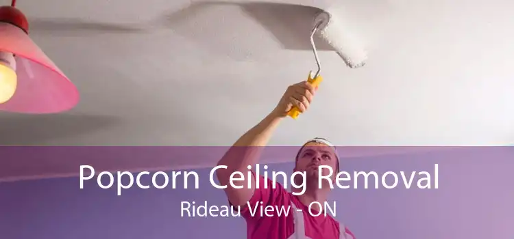 Popcorn Ceiling Removal Rideau View - ON