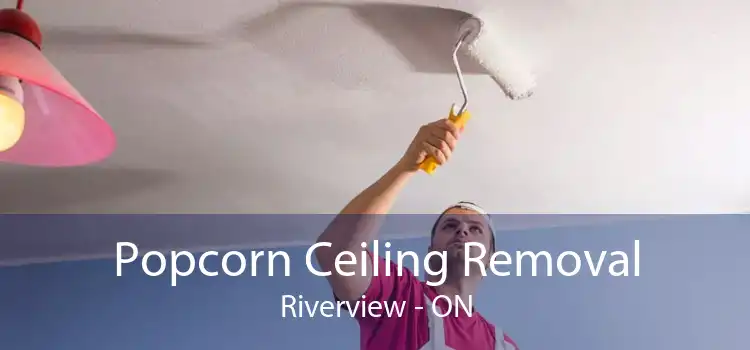 Popcorn Ceiling Removal Riverview - ON