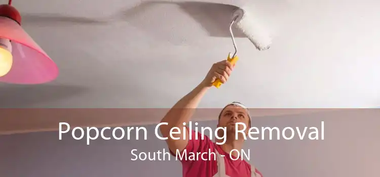 Popcorn Ceiling Removal South March - ON