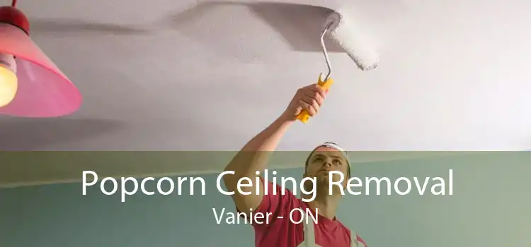 Popcorn Ceiling Removal Vanier - ON