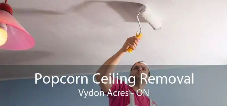 Popcorn Ceiling Removal Vydon Acres - ON