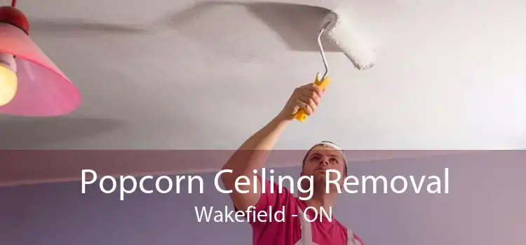 Popcorn Ceiling Removal Wakefield - ON