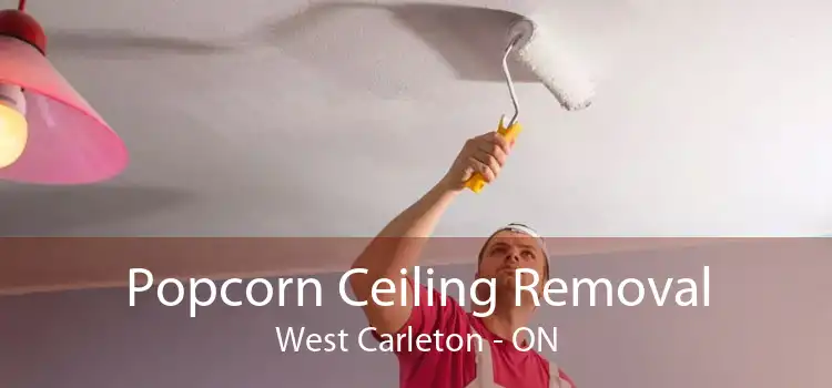 Popcorn Ceiling Removal West Carleton - ON