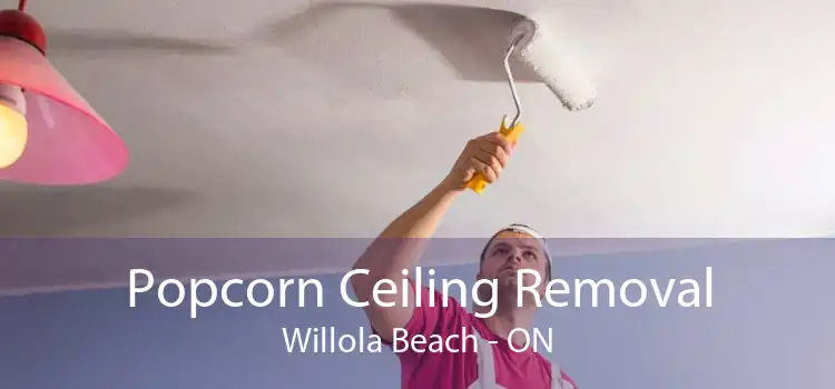 Popcorn Ceiling Removal Willola Beach - ON