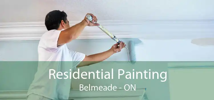 Residential Painting Belmeade - ON