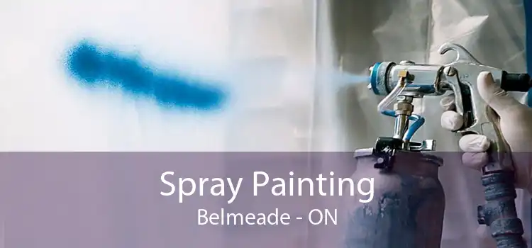 Spray Painting Belmeade - ON