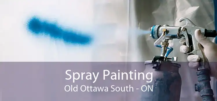 Spray Painting Old Ottawa South - ON