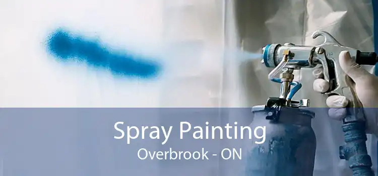 Spray Painting Overbrook - ON