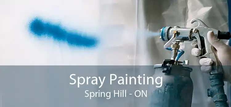 Spray Painting Spring Hill - ON