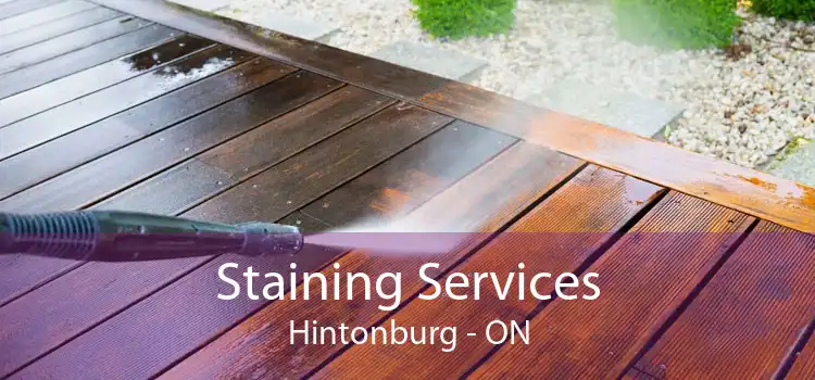 Staining Services Hintonburg - ON
