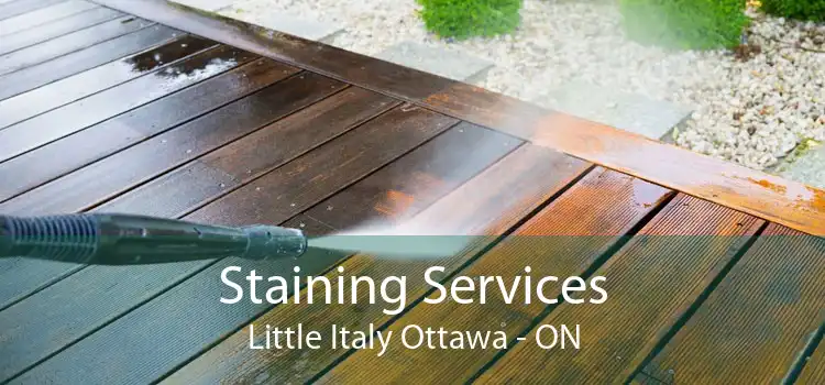 Staining Services Little Italy Ottawa - ON