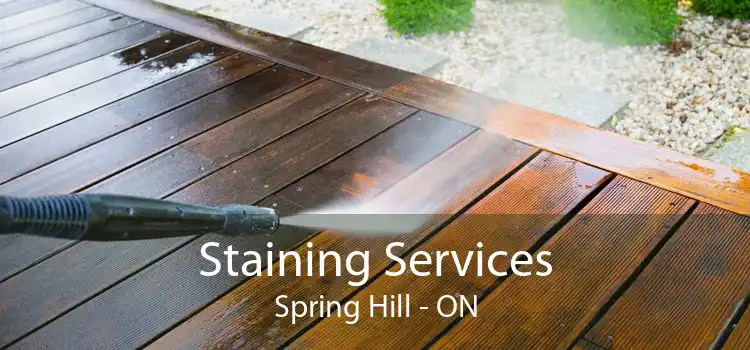 Staining Services Spring Hill - ON